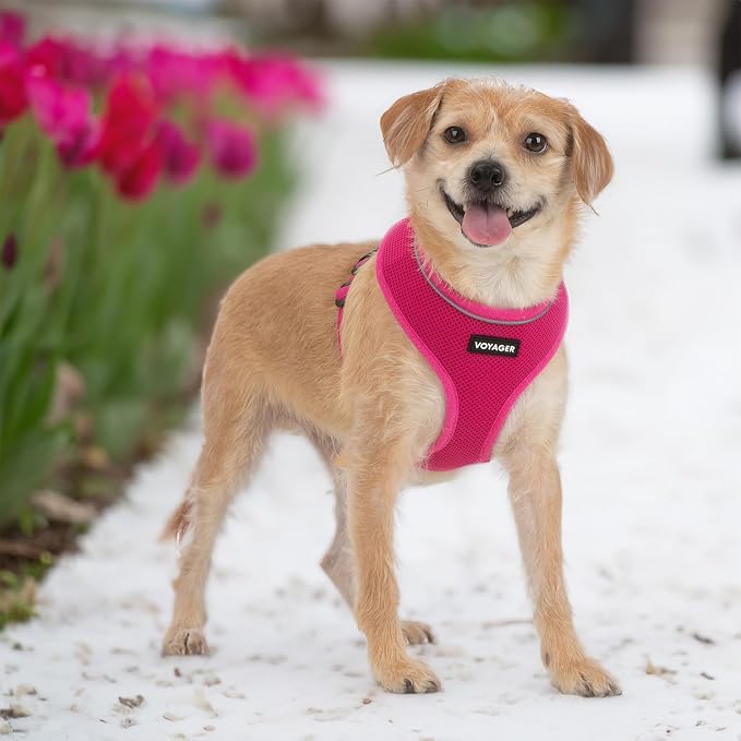 Best Pet Supplies Voyager Aerolite Over the Head Dog Harness, No Pull Breathable Air Mesh Vest, Quick Dry with Reflective Stitching, Adjustable Escape Resistant Harness - Fuchsia, Large - Image 6
