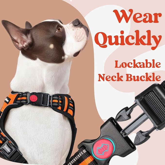 rabbitgoo Dog Harness for Large, Updated Easy On & Off with 3 Buckles | No Pull No Choke, Walking with 2 Clips and Handle, Adjustable Soft Reflective, Orange, Large - Image 2
