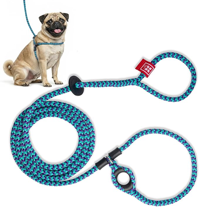 Harness Lead No Pull Dog Harness and Leash Set, Anti Pull Dog Harness, One-Piece Cushioned Rope Safely Prevents Escaping and Pulling (Small/Medium, Purple/Turquoise) by HarnessLead