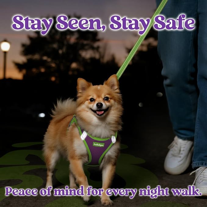 rabbitgoo Dog Harness Small Sized and Leash Set, Step in Soft Vest | Breathable Mesh, Easy Wear with Hook & Loop, Light and Reflective for Walking, Multi-colored, Purple & Green, XXS - Image 4