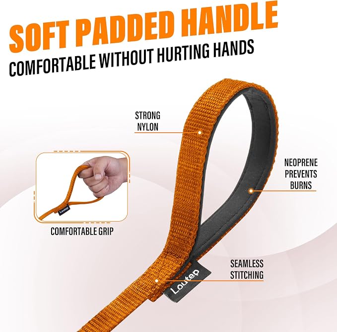 Long Line Dog Training Leash with Padded Handle, 15 ft, Orange | Durable nylon webbing with reinforced stitching and 360° swivel clip for recall and obedience - Image 3