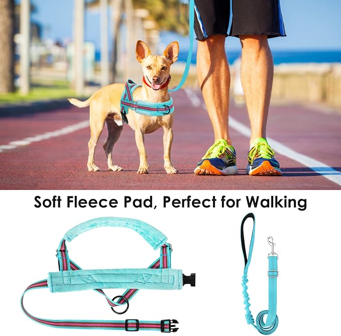 Lukovee Small Dog Harness and Leash Set, No Pull Soft Padded Vest | Both Neck & Chest Adjustable, Reflective, Puppy Harness with 4ft Lightweight Anti-Twist Dog Leash for Small Dogs (01-LBL, XS) - Image 3