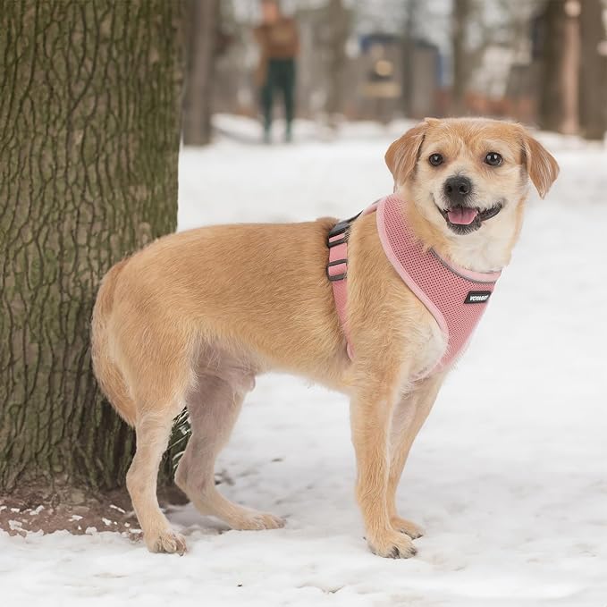 Best Pet Supplies Voyager Aerolite Over the Head Dog Harness, No Pull Breathable Air Mesh Vest, Quick Dry with Reflective Stitching, Adjustable Escape Resistant Harness - Pink, X-Small - Image 6