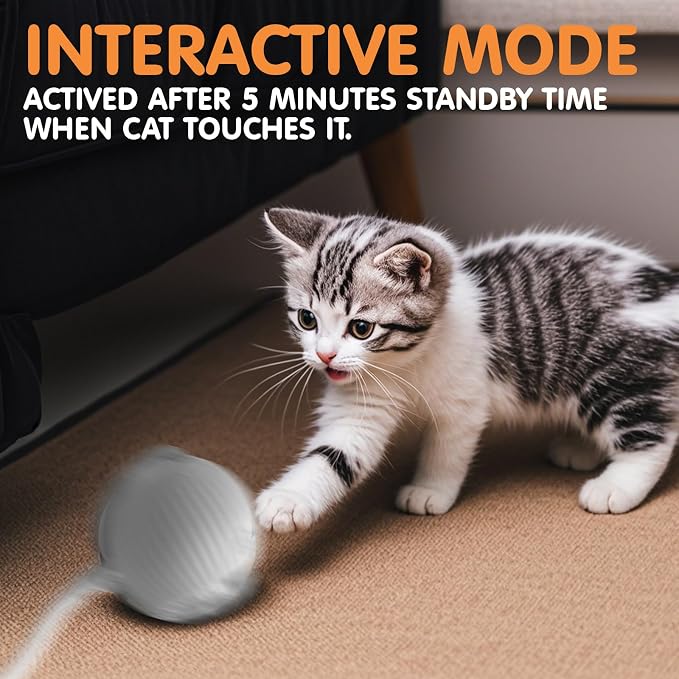 Rocfish Durable Interactive Cat Toys for Indoor Cats (Grey, 01) | Smart Automatic Cat Chase Ball Toy, Upgraded Speedy Tail Kitten Toy for Bored Indoor Adult Pets - Image 6