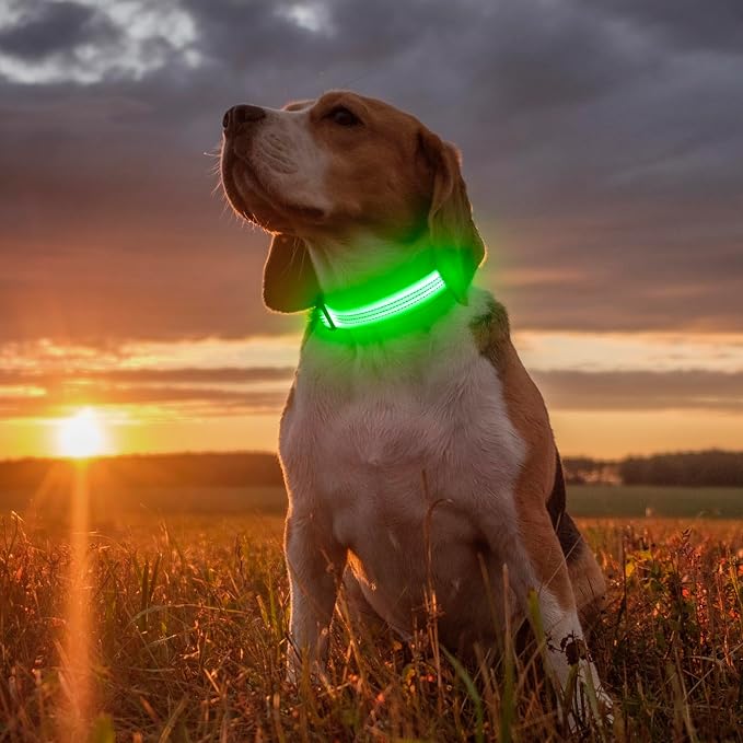 Illumifun Light Up Dog Collar, USB Rechargeable LED Dog Collar, Reflective Flash Pet Lighted Collar for Nighttime Walking (GreenⅢ, Large) - Image 5