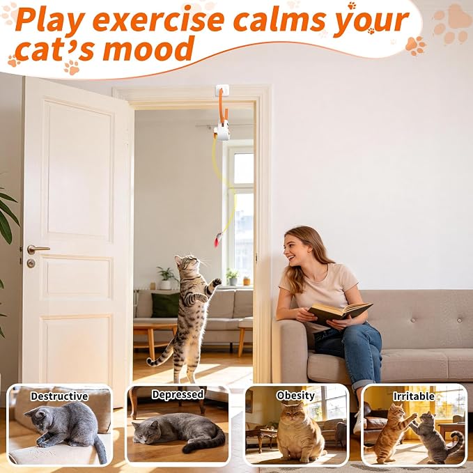 Interactive Cat Toys, Automatic Flying Bird Door Hanging Toy for Cats | USB Rechargeable Smart Sensor Toy for Indoor Cats, Self Play, Hunting Exercise and Mental Enrichment - Image 6