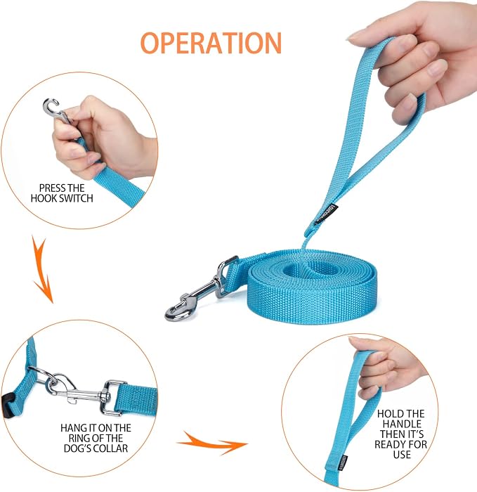 Strong Durable Nylon Dog Training Leash, 1 Inch Wide Traction Rope, 10 ft Long, for Small and Medium Dog (Mint Blue, 10 Feet) - Image 3