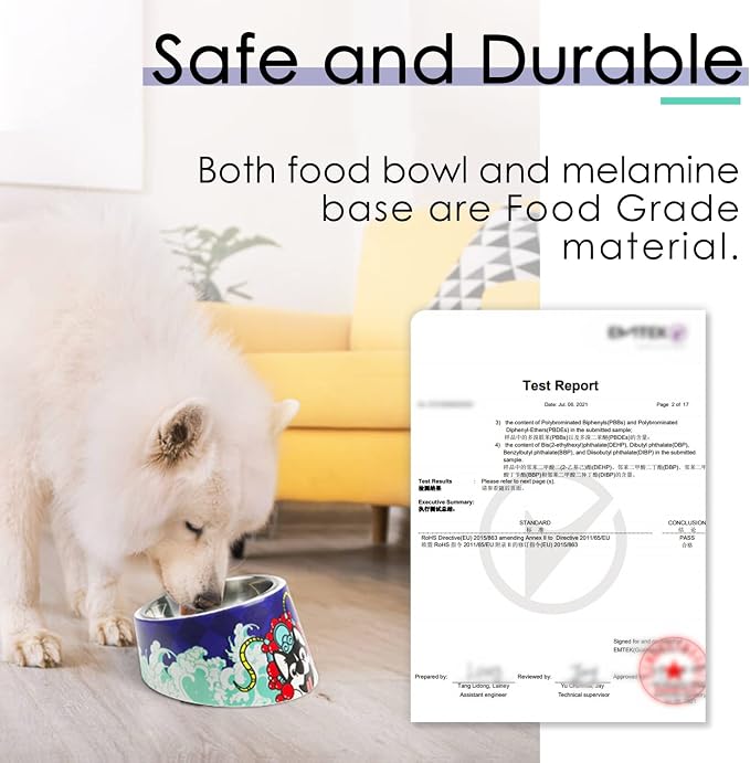 Super Design Mess Free 15° Slanted Bowl for Dogs and Cats, Tilted Angle Bulldog Bowl Pet Feeder, Non-Skid & Non-Spill, Easier to Reach Food - Image 7
