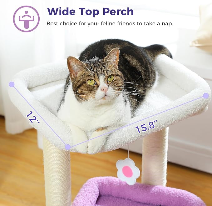 PEQULTI Indoor Cat Tree Tower Small Cats, Sisal Post & Cozy Condo, Purple | Private soft cat condo, soft top perch, natural sisal scratch posts, plush pom-pom toy for indoor kitties - Image 2