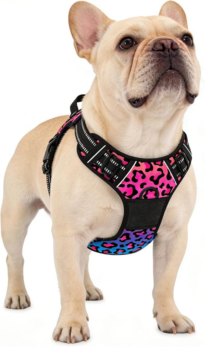 Rnivvi No Pull Dog Harness, Cute Leopard Reflective Small Sized Puppy Kitten Harness, Adjustable Soft Padded Vest for Small Dogs, Cats, Heavy Duty Pet Vest with Easy Control Handle for Walking, Neon by Rnivvi