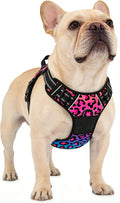 Rnivvi No Pull Dog Harness, Cute Leopard Reflective Small Sized Puppy Kitten Harness, Adjustable Soft Padded Vest for Small Dogs, Cats, Heavy Duty Pet Vest with Easy Control Handle for Walking, Neon by Rnivvi