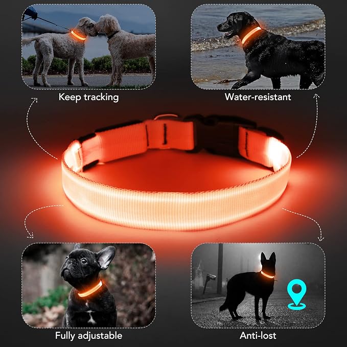 Light Up Dog Collar, Rechargeable USB Collar, Waterproof, Luminous LED Collar, Adjustable, Super Bright, Night Walking for Small Medium Large Dogs, Orange, M - Image 3