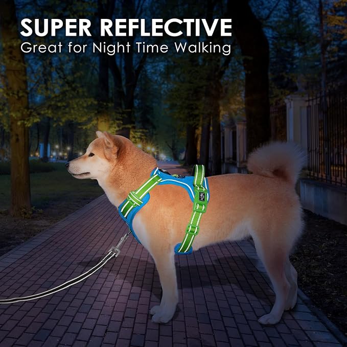 No Pull Dog Harness, Unique Colors Reflective Adjustable Dog Vest | with Soft Training Handle Metal Clips for Small Medium Large Dogs (Blue Base & Green Straps,L) - Image 4