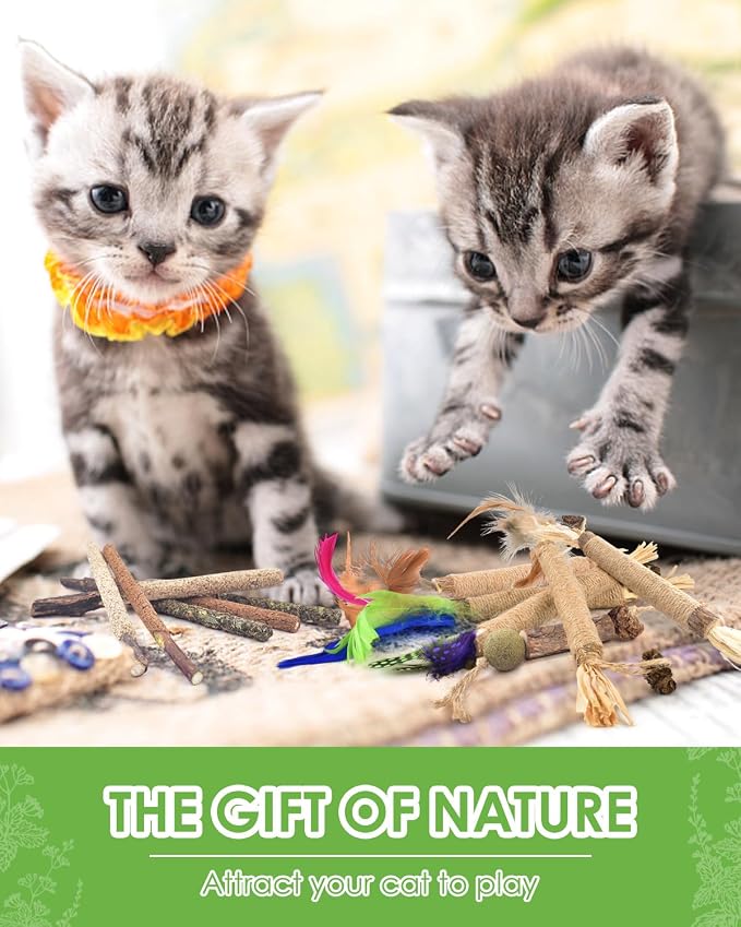 TINDTOP Silvervine Chew Sticks for Cats, 12 Pack Natural Catnip Chew Toys | for Kittens Teeth Cleaning, Matatabi Dental Care, Increase Appetite, Calm Cat Anxiety and Stress, Cat Dental Toy - Image 7