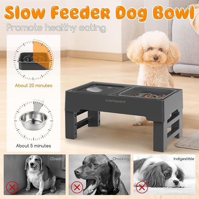 URPOWER 2-in-1 Elevated Slow Feeder Dog Bowls with No-Spill Water Bowl | 4 Height-Adjustable Raised Dog Bowls, Non-Slip Food and Water Bowls with Stand for Small, Medium, Large Dogs, Cats and Pets - Image 4