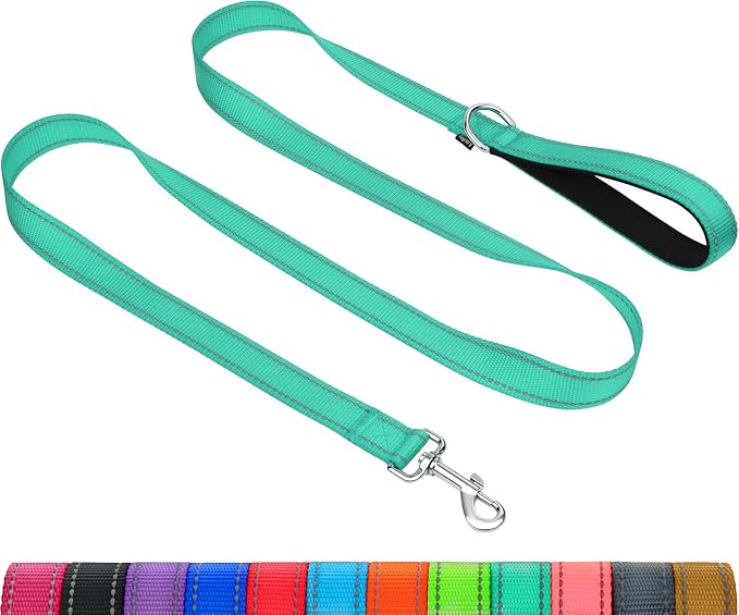 Taglory Reflective Dog Leash for Medium Large Dogs, 1in x 6ft, Turquoise | Ideal for Night Walking, Strong for Sudden Pulls, Lightweight & Gentle on the Neck, Soft Padded Handle by Taglory
