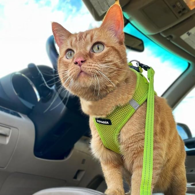 Voyager Step-in Air Cat Harness & Leash Set - Lime Green, M | 15 - 17" in Chest, Reflective Bands, All Weather Breathable Air Mesh, Cats Compatible, Fast Drying - Image 7
