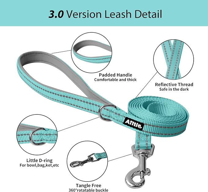 AIITLE Dog Harness and Leash Set, Step-in Puppy Pet Vest, Turquoise XXS | Breathable Mesh, Adjustable Fit, Reflective Design, Padded Leash Handle, for Small-Medium Dogs & Cats, Walking, Training - Image 3