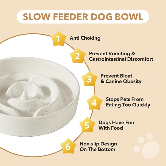 Havniva Raised Slow Feeder Dog Bowls, Elevated Dog Bowls Slow Feeder Set | 1.2 Cups Ceramic Dog Bowl Elevated with Acacia Wood Stand, Raised Dog Food Bowl, Puzzle Slow Feeder for Small Dogs, Non-Slip - Image 8
