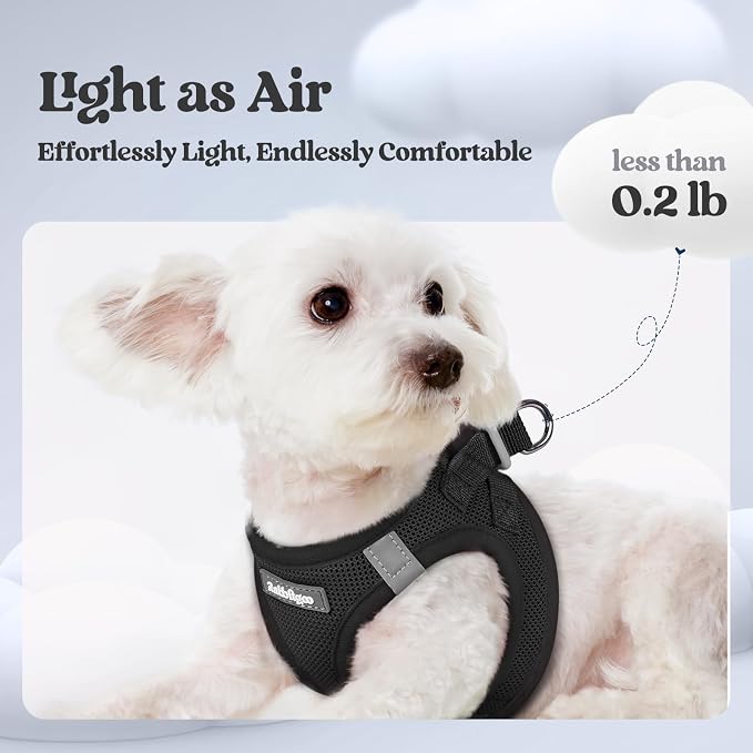 rabbitgoo Dog Harness Small Sized and Leash Set, Step-in Puppy Pet Vest | Light, Soft, Breathable Air Mesh, Easy on and Remove with Hook & Loop, Secure Reflective for Walking, Black M - Image 3