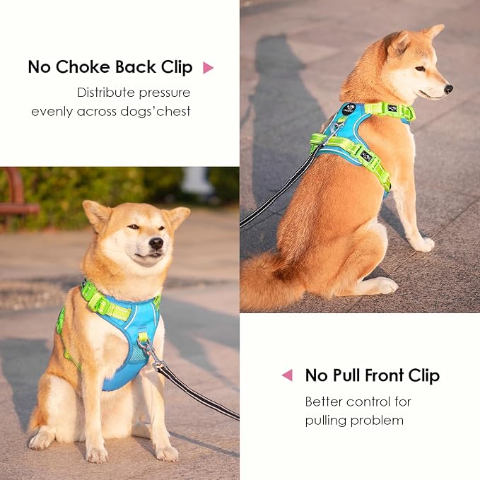 No Pull Dog Harness, Unique Colors Reflective Adjustable Dog Vest | with Soft Training Handle Metal Clips for Small Medium Large Dogs (Blue Base & Green Straps,XL) - Image 4