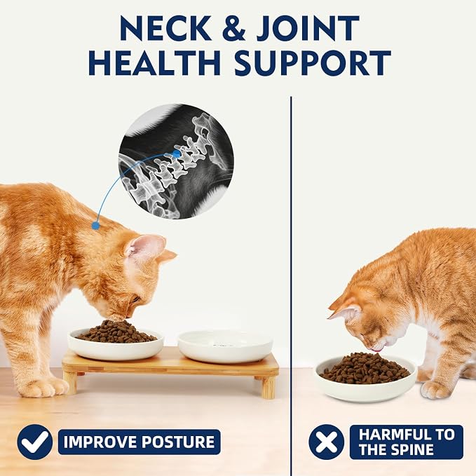 DoogCat Raised Cat Bowls, Bamboo Stand with 2 Ceramic Bowls | Adjustable Height, Whisker-Friendly Design, Food & Water Set, Stable Construction, Easy to Clean - Image 4