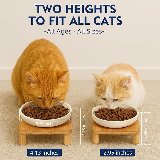 DoogCat Raised Cat Bowl, Elevated Cat Bowls with Bamboo Stand, Set of 2 | Premium Ceramic Bowls, Adjustable Height, Whisker-Friendly Design, Elevated Feeding, Easy to Clean - Image 3