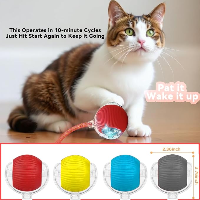 Speedy 2.0 Tail Interactive Cat Toys for Indoor Cats, Automatic Cat Toy with Elastic Mesh Tail, Electric Rolling Ball on Carpet, Chirping and Motion Activate Cat - Image 8