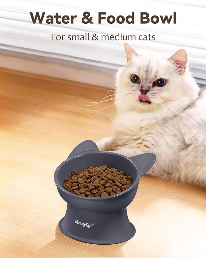 MateeyLife Raised Cat Bowls, Cat Food Bowl Elevated for Kittens & Small Dogs, 15°Tilted Protect Pets' Neck and Anti Vomiting, Whisker Friendly Food & Water Feeding Bowl, 6 oz Each - Gray - Image 3
