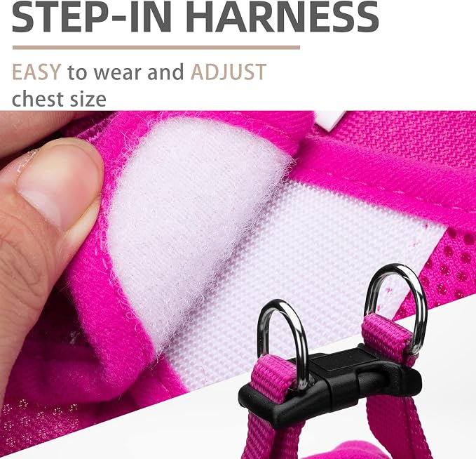 PUPTECK Dog Harness, Collar and Leash Set No Pull for Small Medium Sized | Soft Mesh Puppy Step-in Escape Proof Reflective No Choke Pet Cat Adjustable Walking Vest - Image 3