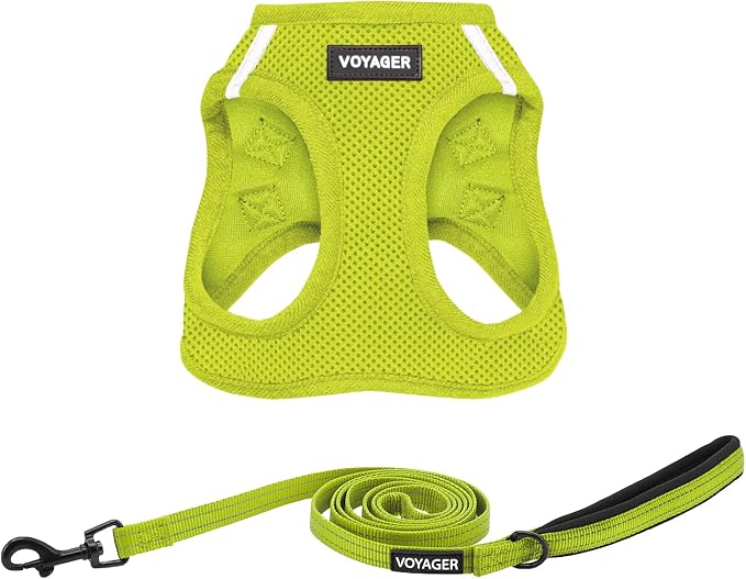 Best Pet Supplies Voyager Step-in Air All Weather Mesh Harness and Reflective Dog 5ft Leash Combo with Neoprene Handle, for Small, Medium and Large Breed Puppies - Lime Green, XXX-Small by BestPetSuppliesLLC