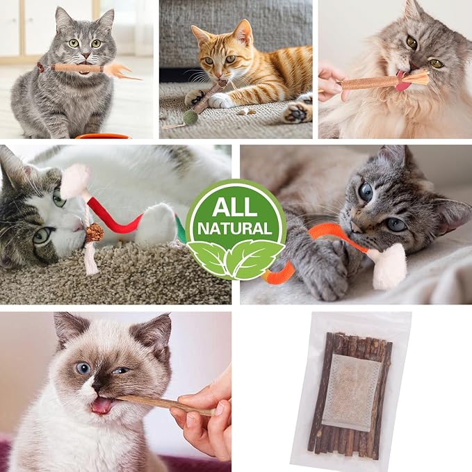 Kyouki Cat Toys Cat Chew Toys, Silvervine Sticks Catnip Rope Toys for Cats Teeth Cleaning, Kitten Dental Care, Kitty for Indoor Cats Increase Appetite,Enhances Oral & Dental Health (21 Pack) - Image 3