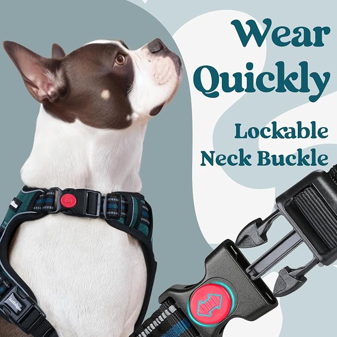 rabbitgoo Dog Harness for Large, Updated Easy On & Off with 3 Buckles | No Pull No Choke, Walking with 2 Clips and Handle, Adjustable Soft Reflective, Blue Coral, X-large - Image 2