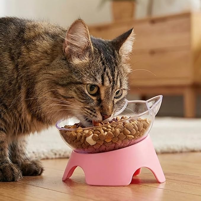 MILIFUN Raised Cat Food Bowls with Stand, Cat Dishes for Food or Water, Tilted Bowl, Pet Dish with Stand - Image 6