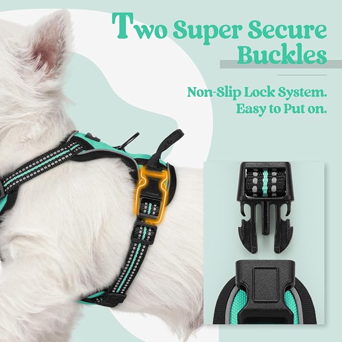 rabbitgoo Dog Harness, No Pull for Small Dogs with 2 Leash Clips, Pet Vest | No Choke with Handle, Adjustable Soft Padded, Reflective, Easy Control for Walking, Turquoise, X-Small - Image 3
