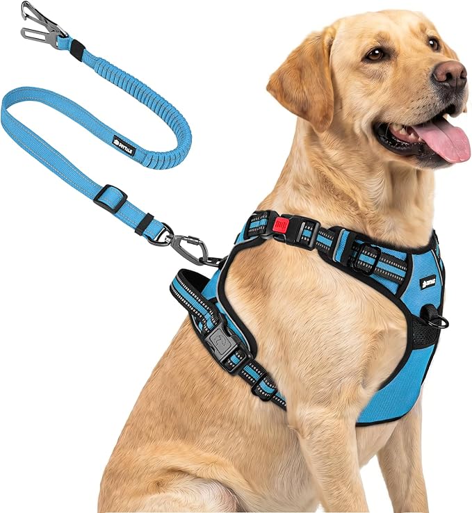 Joytale No Pull Dog Harness & Seat Belt, Easy On 3-Buckle, L, Sky Blue | Front Clip Reduces Pulling, Escape-Resistant Design, Adjustable Fit, Soft Padding for Comfort, Secure Tether for Safer Travel by Joytale