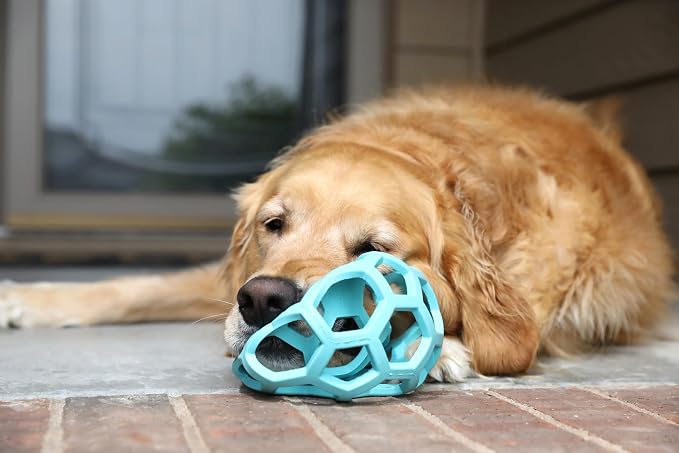 JW Pet HOL-ee Roller Dog Puzzle Ball, Large 5.5in, Natural Rubber, Blue | Puzzle Ball Design Dog Toy for Interactive Play and Chasing Fun - Image 5