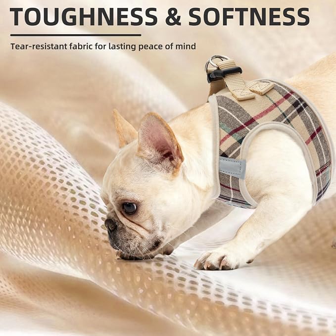 PUPTECK Dog Harness, Collar and Leash Set No Pull for Small Medium Sized | Plaid Puppy Step-in Escape Proof Reflective No Choke Pet Cat Adjustable Walking Vest - Image 6
