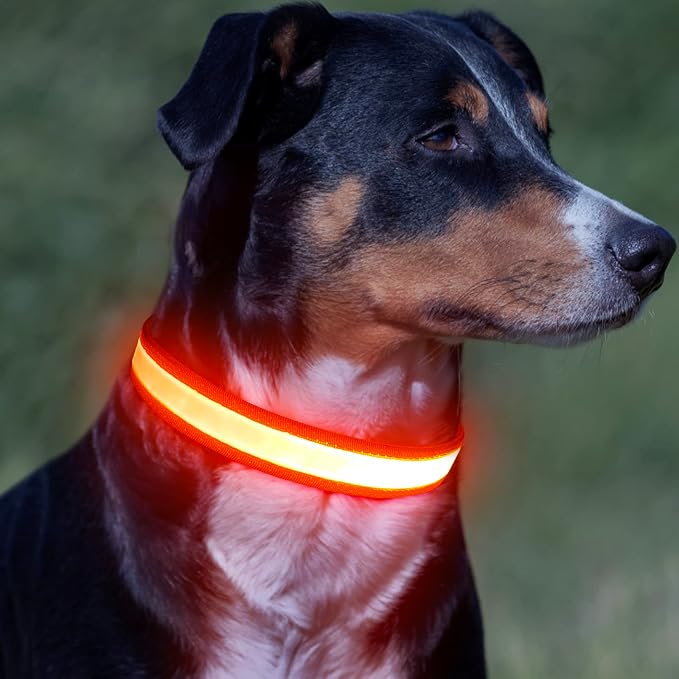 Vizpet LED Dog Collar, Light Up Dog Collar Adjustable USB Rechargeable Super Bright Safety Light Glowing Collars for Dogs(Large,Orange) - Image 7