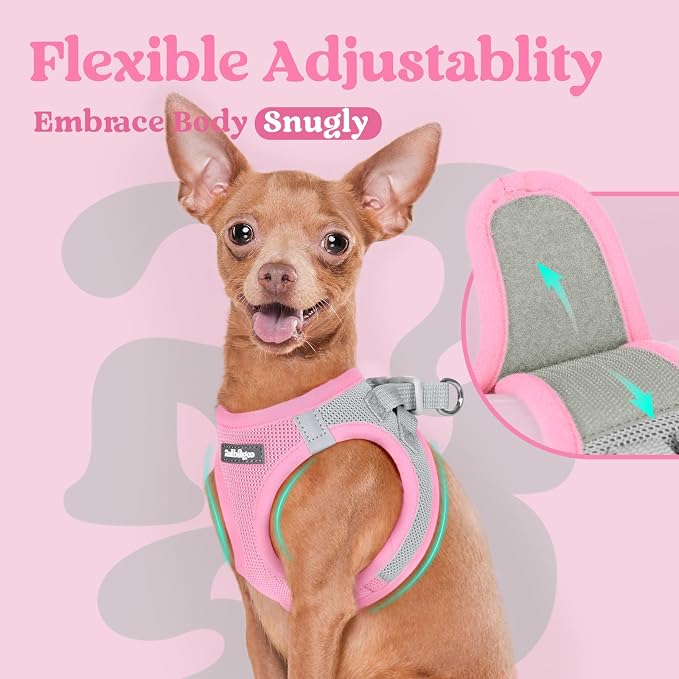 rabbitgoo Step-in Small Dog Harness, Puppy Vest for Small Medium Sized Pet | Easy Put on and off, Lightweight, Soft, Breathable Quick-Dry Air Mesh for Comfortable Secure Walking, Light Pink & Gray L - Image 6