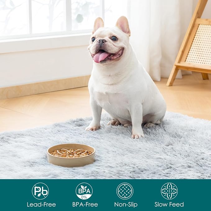 vancasso Ceramic Slow Feeder Dog Bowls, Puzzle Dog Food Bowls with Floral Maze, Anti -Slip Pet Food Dish for Small Breed, 0.6 Cups, Brown - Image 3