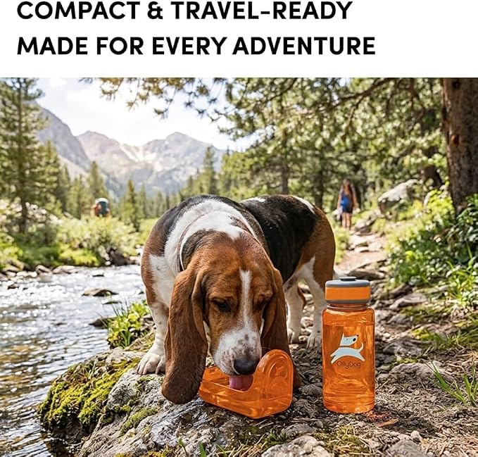 OllyDog OllyBottle, Dog Water Bottle, Pet Water Dispenser with Detachable Bowl, Pet Accessories for Outdoor Walking, Hiking, Travel (600ml, Flame) - Image 3