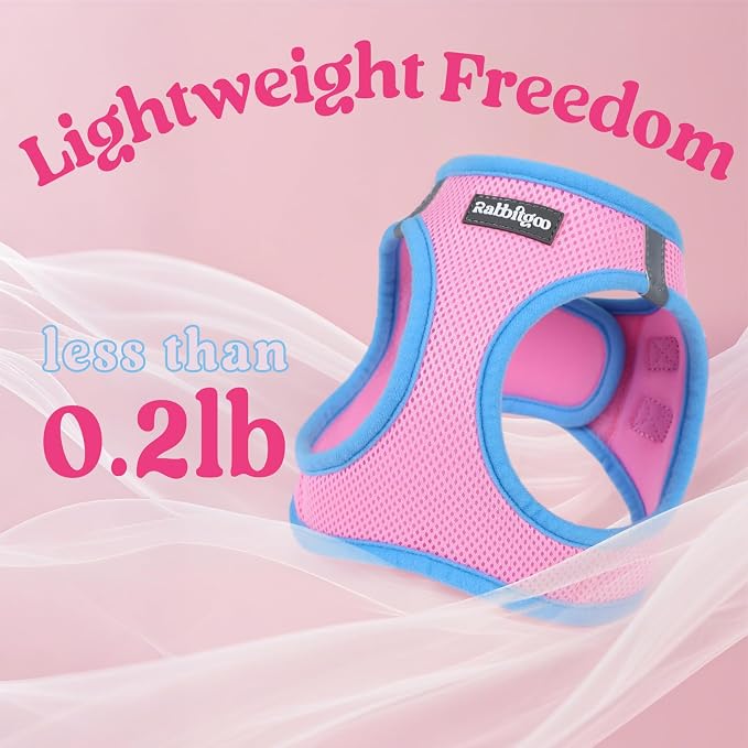 rabbitgoo Dog Harness Small Sized and Leash Set, Step in Soft Vest | Breathable Mesh, Easy Wear with Hook & Loop, Light and Reflective for Walking, Multi-colored, Pink & Blue, S - Image 7