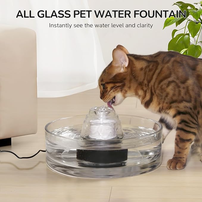 2.7L Glass Pet Fountain –Transparent Glass Cat Water Fountain & Little Dog Drinking Bowl– Automatic Cat Water Dispenser - Image 6