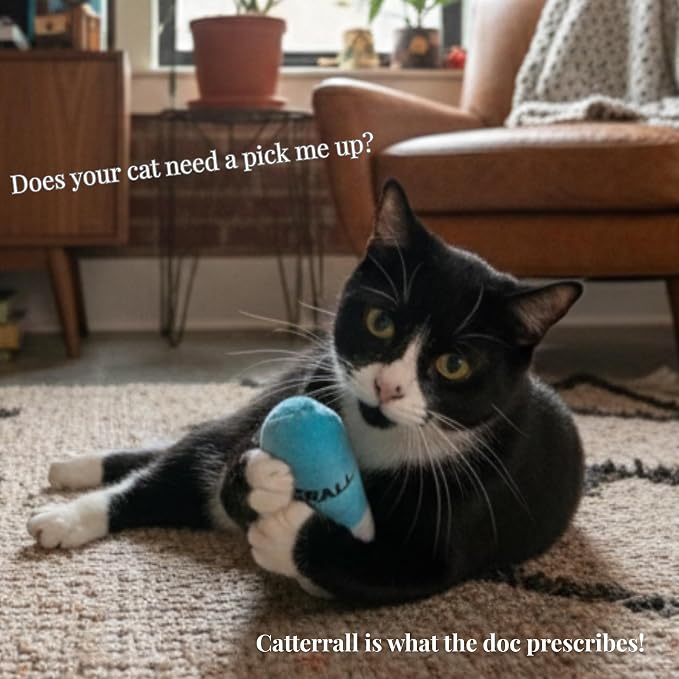 Smokey's Stash Catterall Catnip Toys – 4 Pack Plush Pill Toys with Potent Catnip & Crinkle Paper – Funny Parody Cat Toys for Indoor Cats & Kittens – Interactive Kicker Toys - Image 3