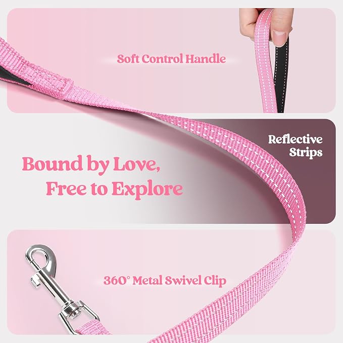 rabbitgoo Dog Harness Medium Sized and Leash Set, Step-in Puppy Pet Vest | Light, Soft, Breathable Air Mesh, Easy on and Remove with Hook & Loop, Secure Reflective for Walking, Light Pink XL - Image 6