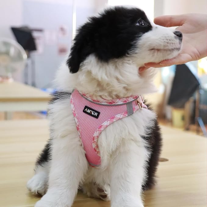 AMTOR Small Dog Harness with Leash Set, No Escape Easy Walk Puppy Harnesses for Training Walking, Step-in Reflective Soft Dogs Vest for XS S Medium Extra-Small Large Sized Dog(Pink/White,XL) - Image 4