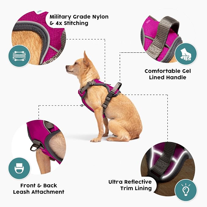 Embark No Pull Dog Harness, Reflective Adjustable Training Vest, No Choke | Adjustable straps fit all dog breeds with sturdy hooks; 360° reflective trim, soft padded Harness Design for All Dogs - Image 3