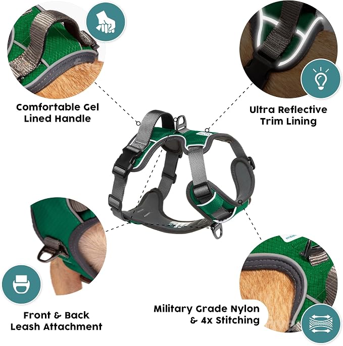 Embark No Pull Dog Harness, Reflective Adjustable Training Vest, No Choke | Adjustable straps fit all dog breeds with sturdy hooks; 360° reflective trim, soft padded Harness Design for All Dogs - Image 3