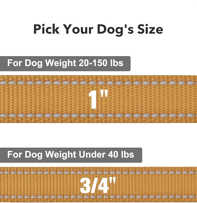 Taglory Reflective Dog Leash for Small Dogs, 3/4in x 4ft, Tan | Ideal for Night Walking, Strong for Sudden Pulls, Lightweight & Gentle on the Neck, Soft Padded Handle - Image 4